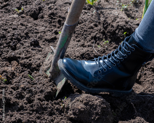 A woman's leg in boots on a shovel digs the beds in the garden.