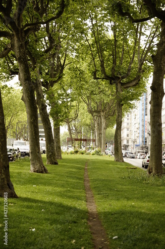 Allee an der Rhône in Lyon