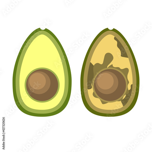 Fresh avocado near rotten fruit. Damaged exotic food inside illustration isolated. Spoiled healthy fruit