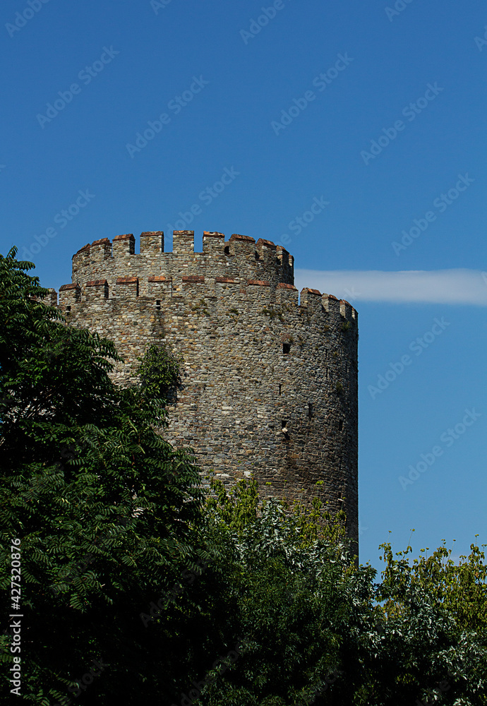 Tower of Anadolu Hisari ruins, Istanbul, Turkey