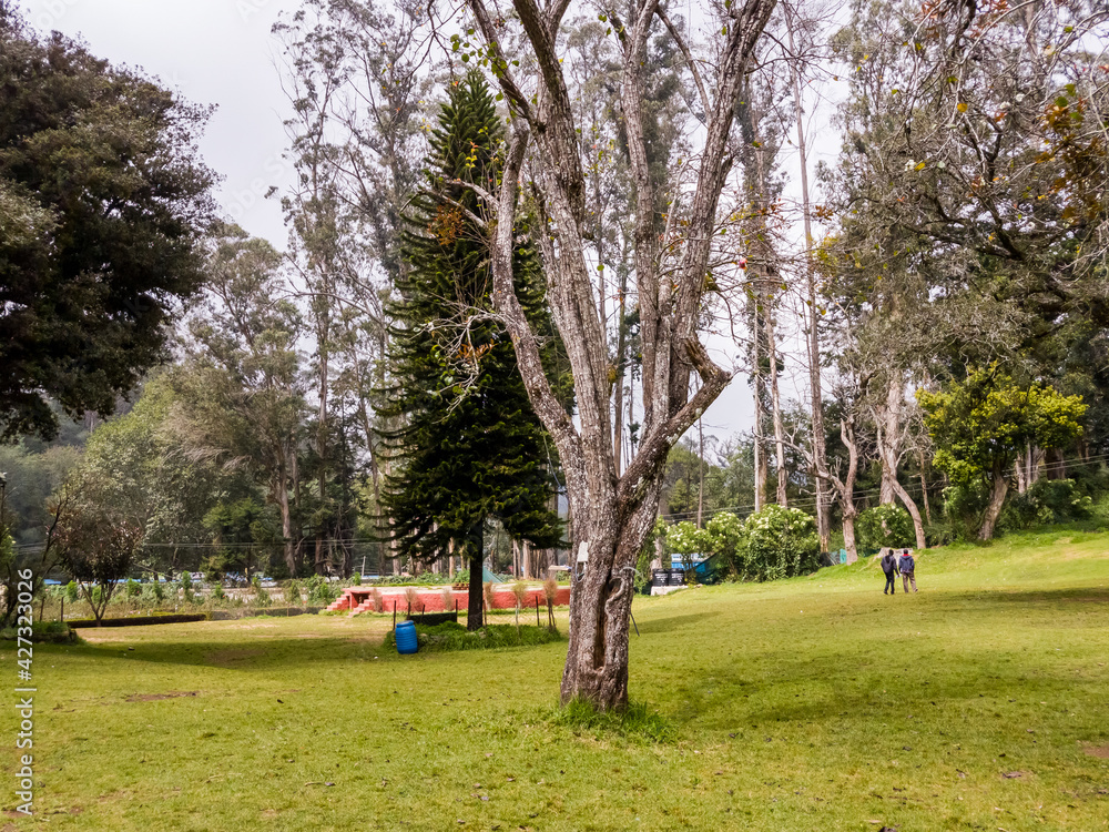 The green meadows of the Bryant Park in the hill station of Kodaikanal in Tamil Nadu, India