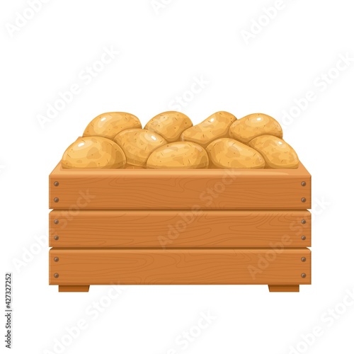 Ripe potatoes in wooden box vector illustration. Autumn harvest of potatoes.