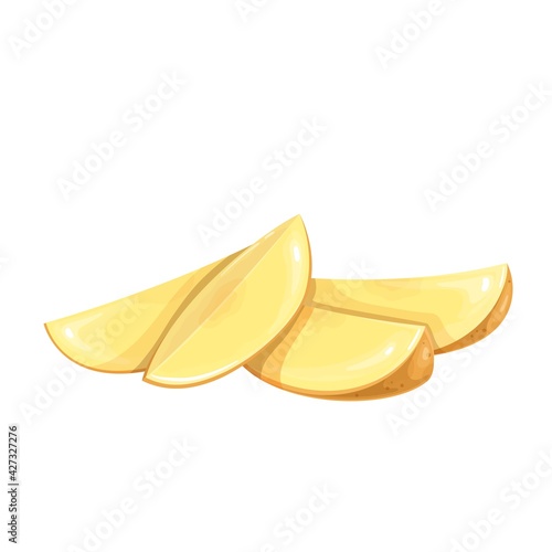 Potato slices vector illustration. Raw vegetable wedges potato isolated on white background.