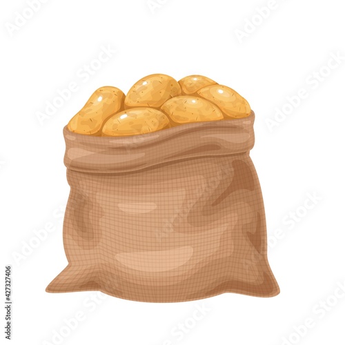 Potato tubers vector illustration. Farm potatoes in burlap sack, bunch. Harvested root crops isolated on white.