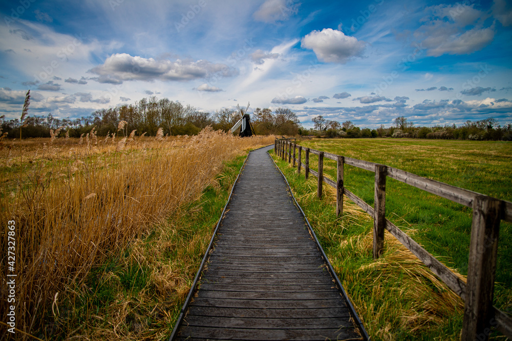 wooden path in the field