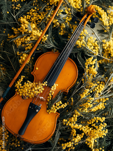Spring table decor. Mimosa, lemons. Decorating the interior with flowers.