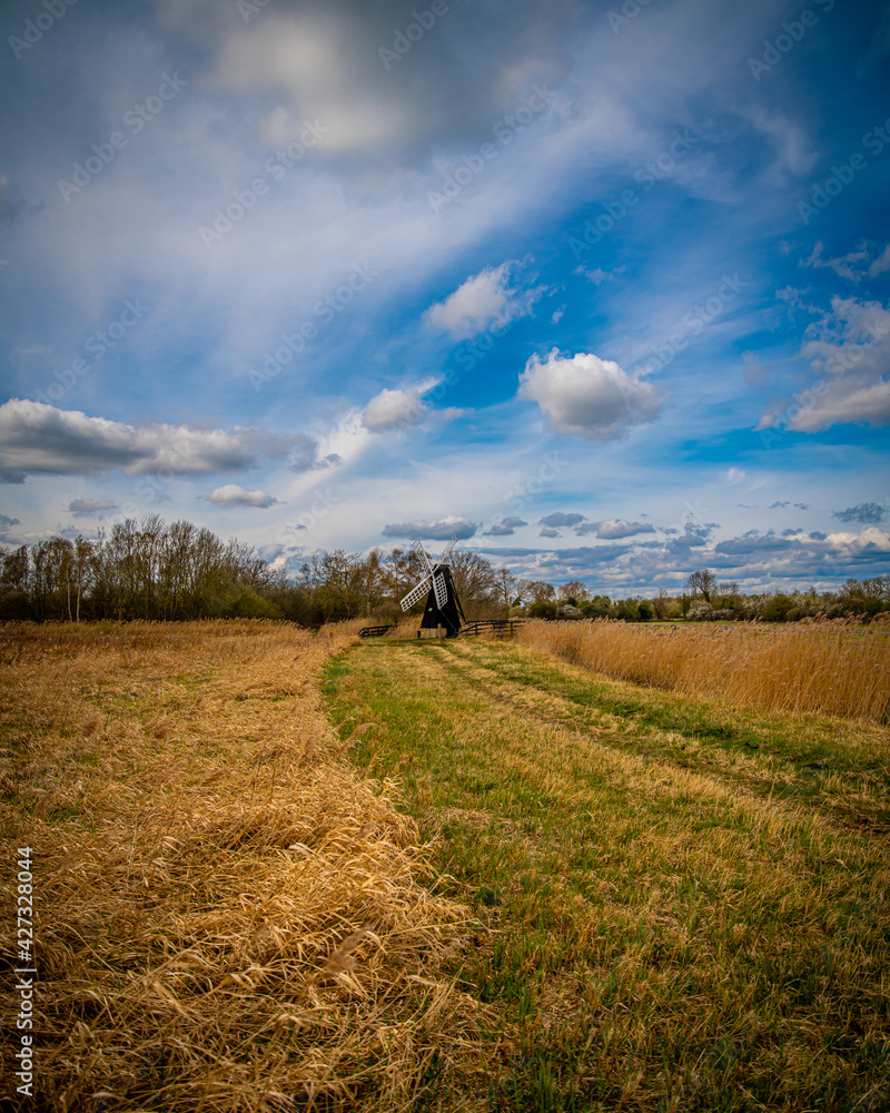 Naklejka premium landscape in the summer