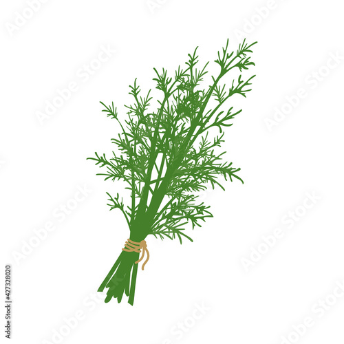 A bunch of dill herb tied with a rope. Source of vitamin C. Green ingredients for vegetarian meals and a healthy lifestyle