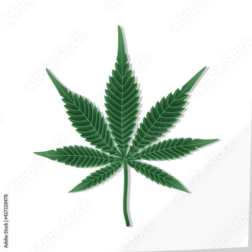 Marijuana Leaf with Seven Realistic Blades in Detail Icon Depicting Cannabis Indica Plant - Dark Green Elements on White Natural Paper Effect Background - Gradient Graphic Style