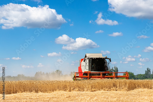 Scenic front view Big powerful industrial combine harvester machine reaping golden ripe wheat cereal field on bright summer or autumn day. Agricultural yellow field machinery landscape background