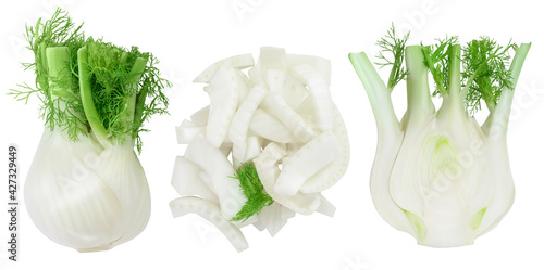 fresh fennel bulb with half and slices isolated on white background . Top view. Flat lay