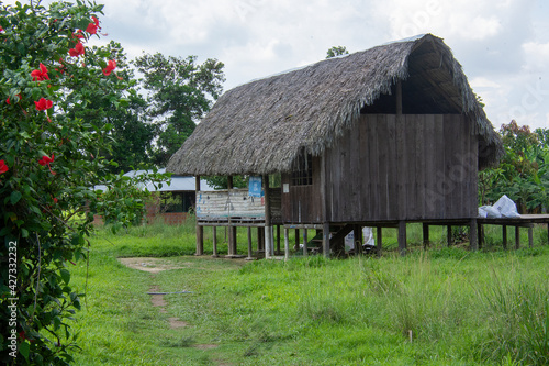 llanos orientales de Colombia 