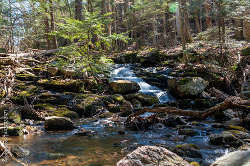 A small waterfall flows through the early-spring forest in Hardy Lake Provincial Park near Gravenhurst in Muskoka  Ontario on a beautiful sunny day.