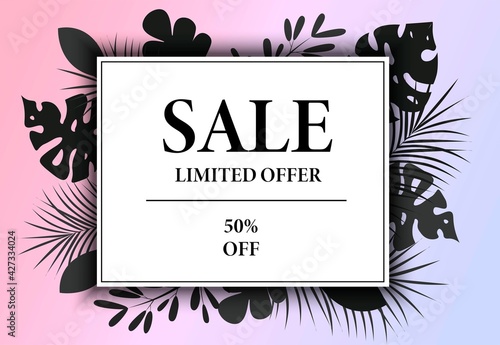 Sale  discounts  limited offer. Vector banner. Tropical plants  monstera leaves  fern leaves. Advertising  favorable price. Page for an online store. Contemporary design. Retail business promotion.