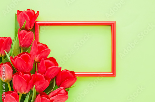 Red frame with red tulips on a green background. Mockup. Holiday background, greeting card