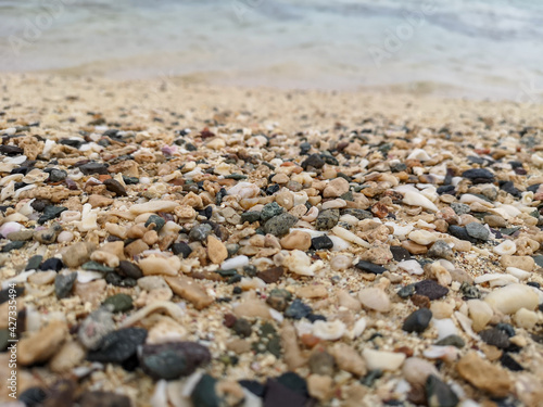 Sea shore sand,shells,corrals,stones,rocks background texture on the beach