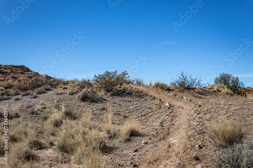 Rock lined path up over a ridge, New Mexico desert with grasses and brush, blue sky copy space, horizontal aspect