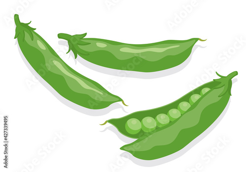 野菜_ スナップエンドウ