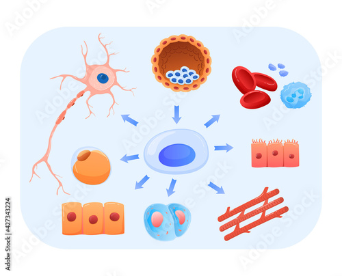 Medical research, human body tissue cells, modern medicine, design cartoon style vector illustration, isolated on white.