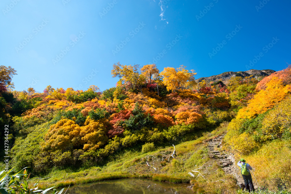 Outono em Hokkaido.	