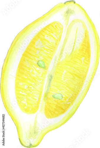 Watercolor clipart slice of lemon. Hand draw sketch