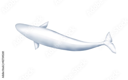 Fotografie Illustration of swimming beluga on white
