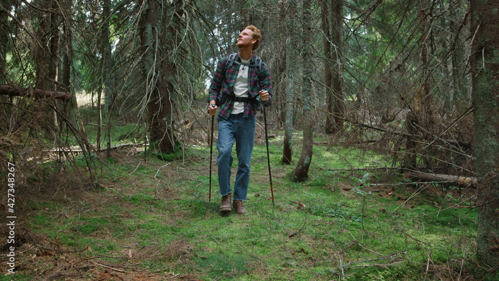 Guy trekking in woods at summer. Male traveler hiking in fairytale forest Guy trekking in woods at summer. Male traveler hiking in fairytale forest