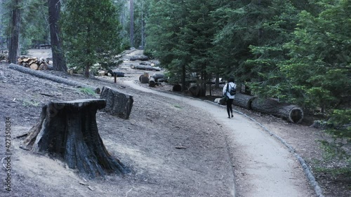 Back view of woman on Trail of 100 Giants in Sequoia National Forest, California. First-person shot photo