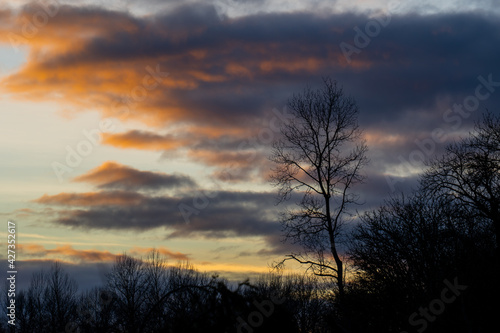 Country side evening in Oregon. 