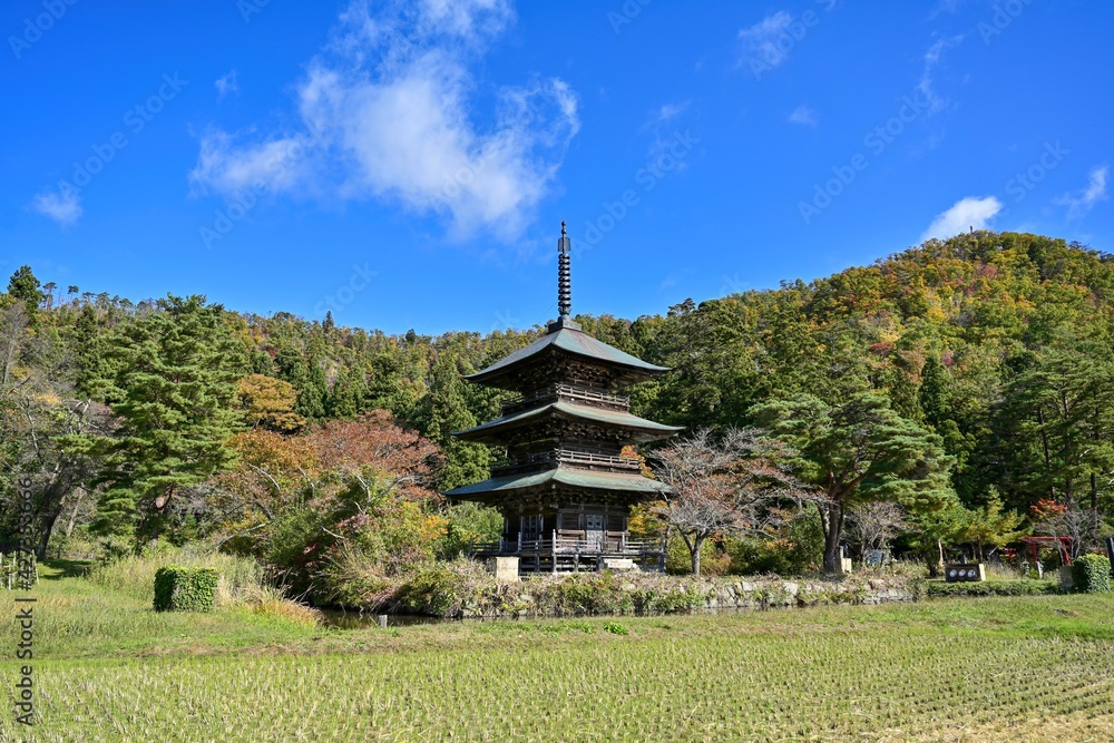 のどかな田園風景の紅葉と古い三重塔のコラボ情景＠山形