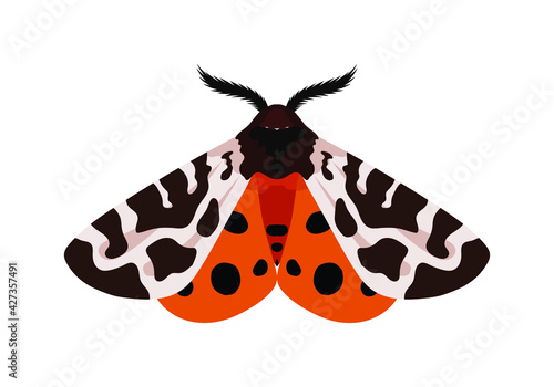 moth cartoon illustration. colorful insect illustrated in realistic drawing. colored animation of lepidoptera in vector graphic.