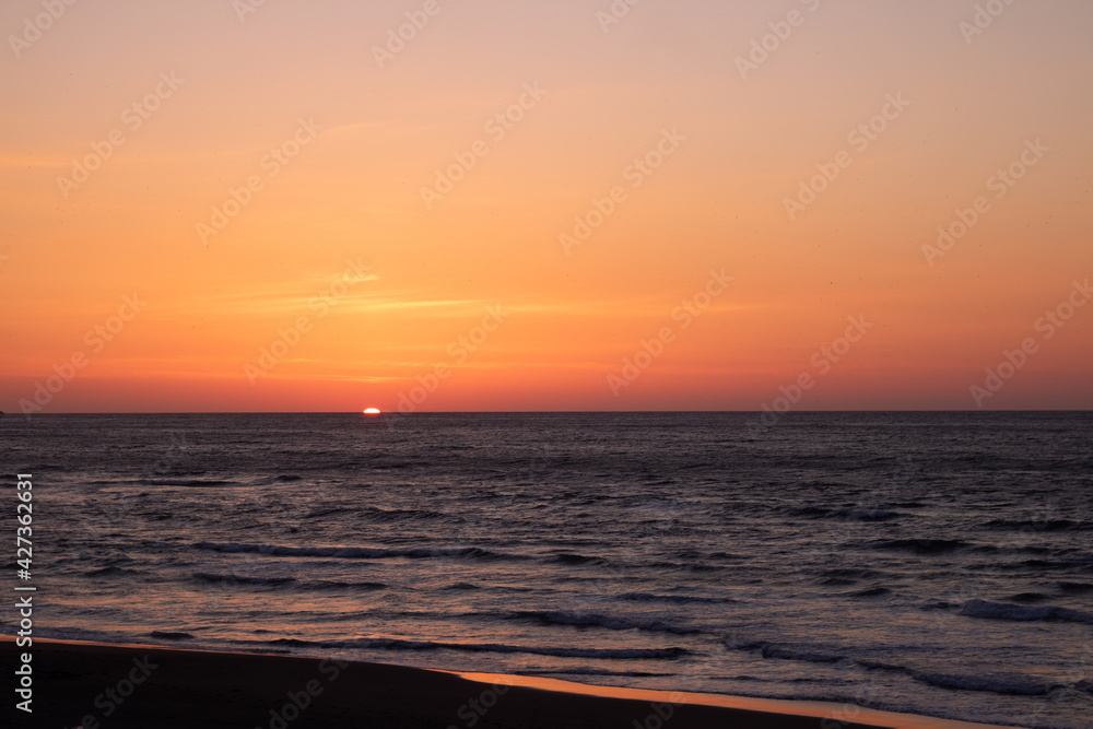 Beautiful sunset on the sea and many birds Beautiful sunset on the sea and many birds