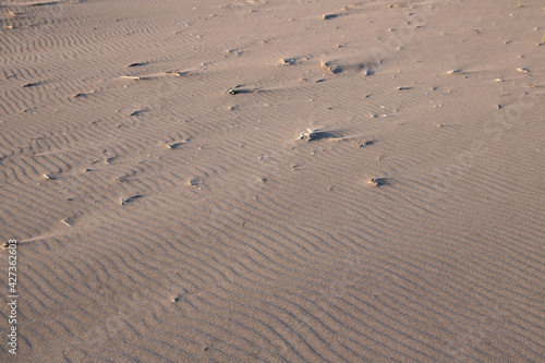 Sand pattern on the beach (ripple mark)