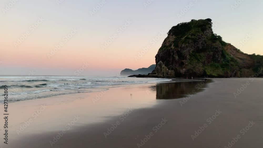 Morning surf at South Piha beach with Lion Rock in the background. Bird flying across the scene. Morning surf at South Piha beach with Lion Rock in the background. Bird flying across the scene.