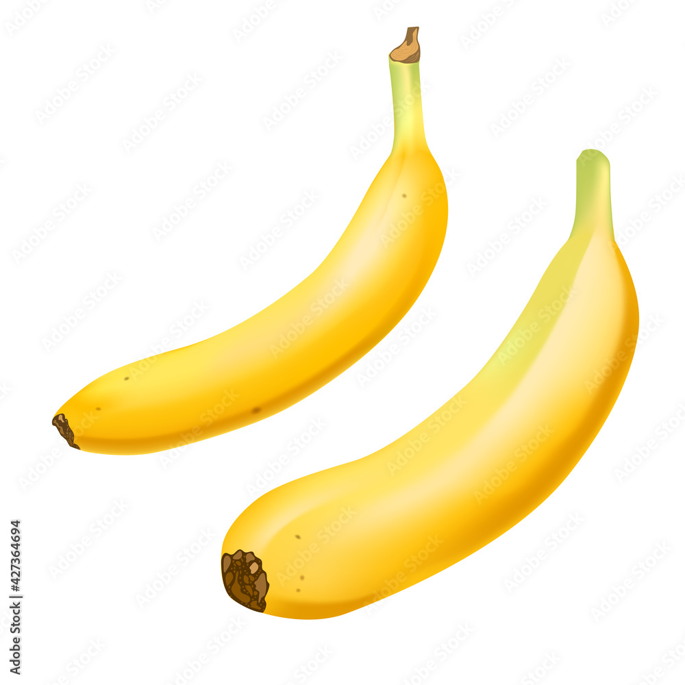 Set of 2 realistic bananas isolated on white background.. Tropical fruits. 3D vector illustration