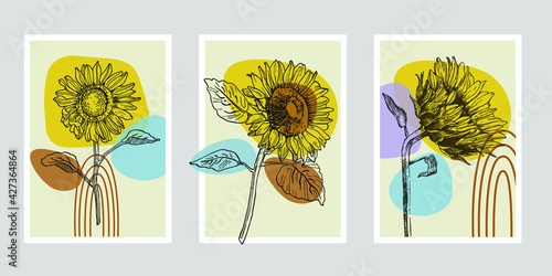 Flower wall art plant of sunflowers set. Foliage of nature line art drawing with abstract shape. Modern Abstract Plant Art design for print, cover, wallpaper, illustration with decor wall art. 