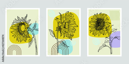 Flower wall art plant of sunflowers set. Foliage of nature line art drawing with abstract shape. Modern Abstract Plant Art design for print, cover, wallpaper, illustration with decor wall art. 