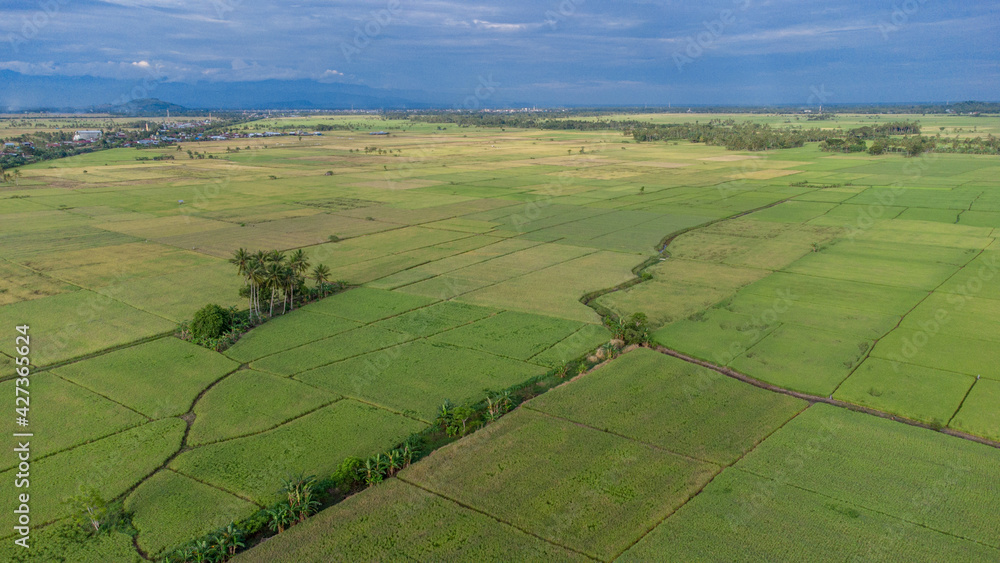 Pinrang, Sulawesi Selatan Indonesia.
The view of the rice fields that will soon be harvested.
April 11 2021
