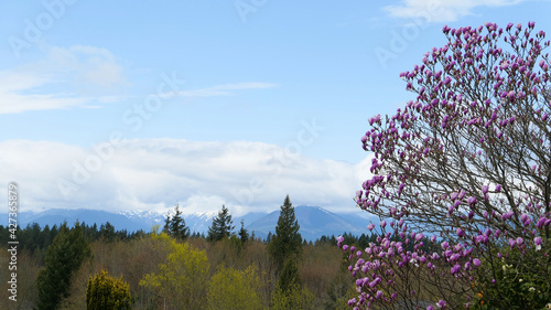 Olympic National Park Washington state