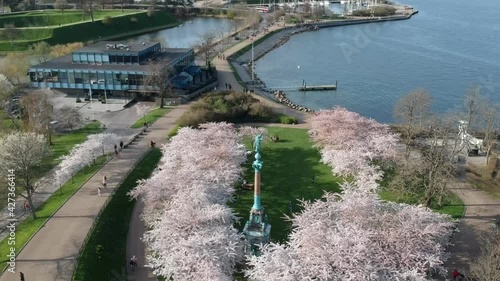 Aerial flying over Iver Huitfeldt memorial during cherry blossom in Copenhagen with people walking slowly around photo