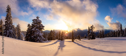 Panoramic View of Canadian Nature Landscape on top of snow covered mountain and green trees during spring sunset. Taken at Elfin Lake in Squamish, North of Vancouver, British Columbia, Canada.
