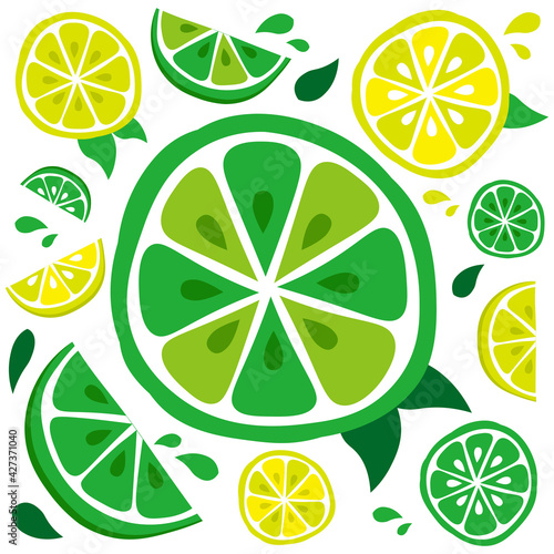カットされたフレッシュなライムのイラスト
