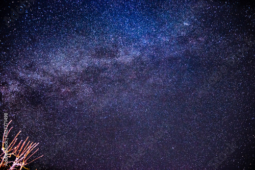 stars in the night