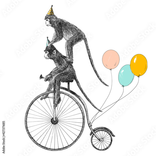 Canvas Print Beautiful stock illustration with cute hand drawn safari animal monkey on the bike with baloons