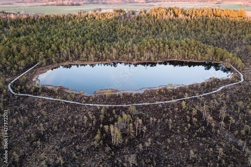 Kalnansu swamp lake with footbridge around, Kabile, Latvia photo