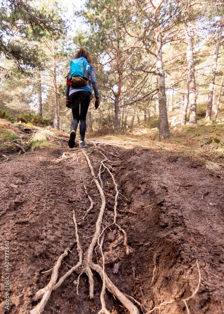 Obraz premium A person walked on a path.