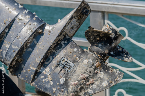 Фотография Outboard engine covered with barnacles.