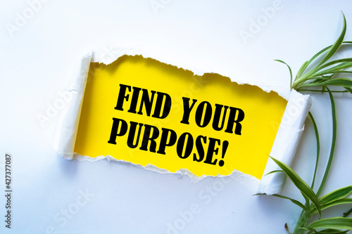 Text sign showing find your purpose