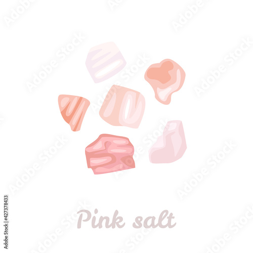 Himalayan pink salt icon. Vector illustration in cartoon flat style.