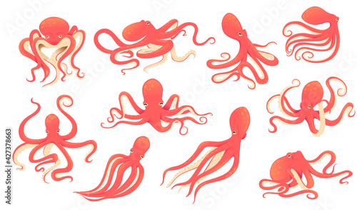 Set of red adult octopus underwater ocean animal cartoon animal design vector illustration on white background